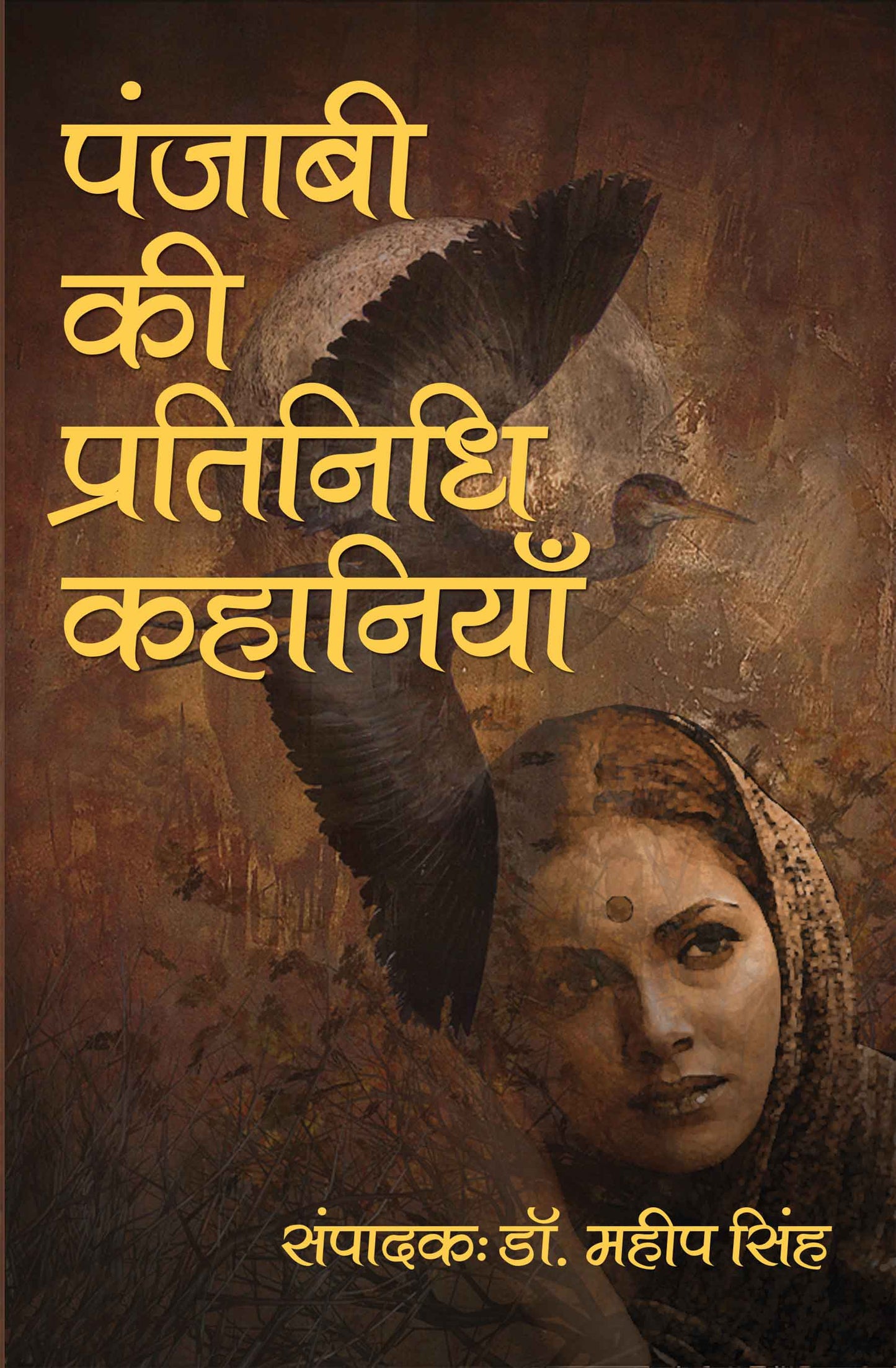 Panjabi Ki Pratinidhi Kahanian