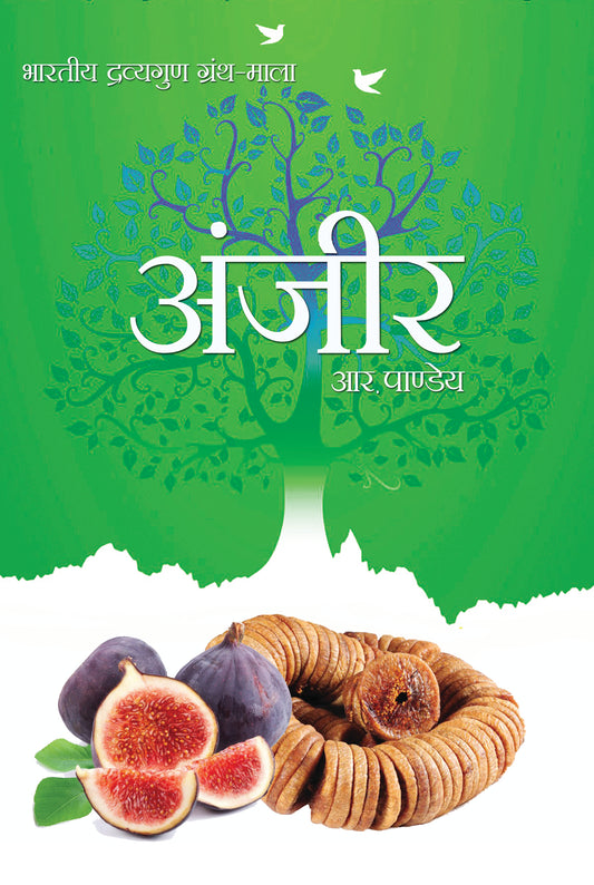 Anjeer
