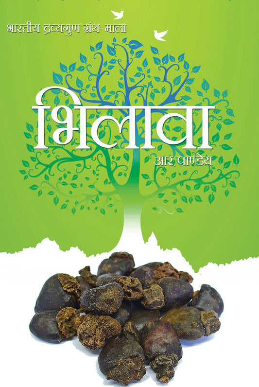 Bhilawa