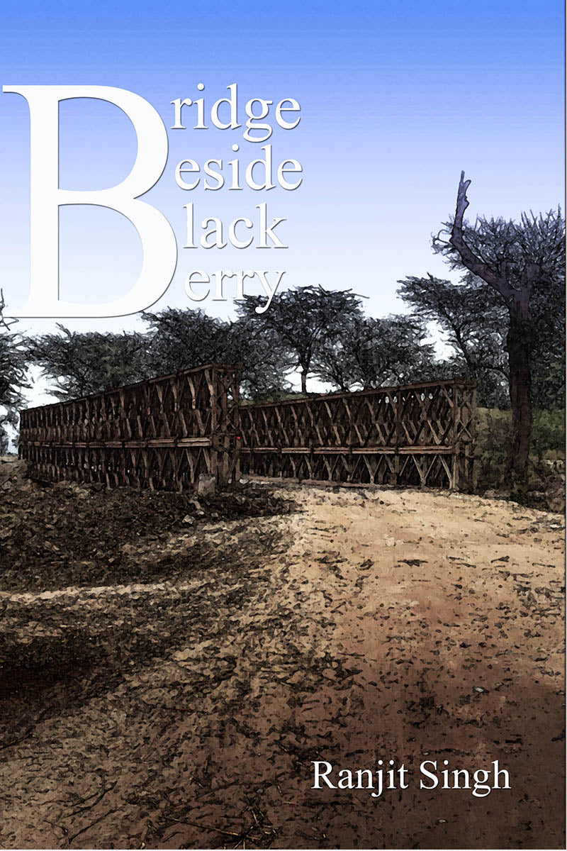 Bridge Beside Black Berry