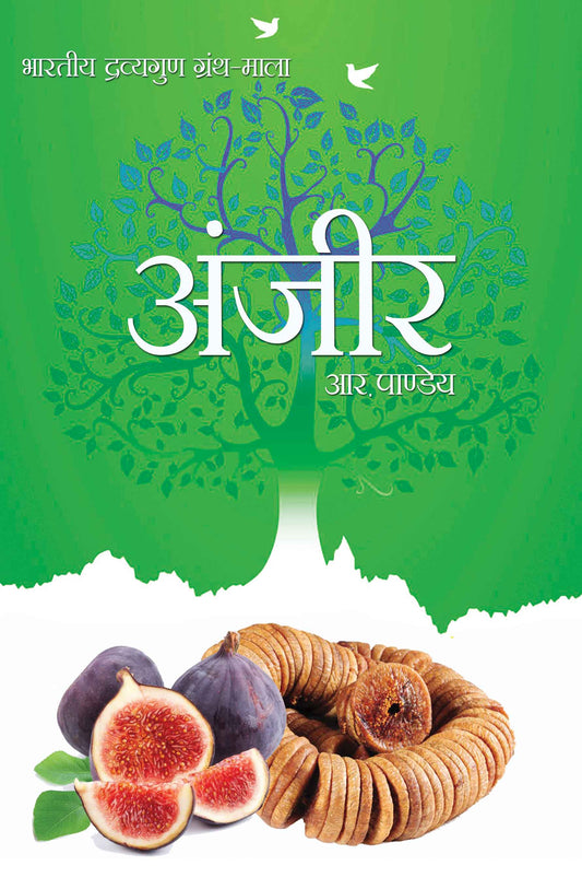Anjeer