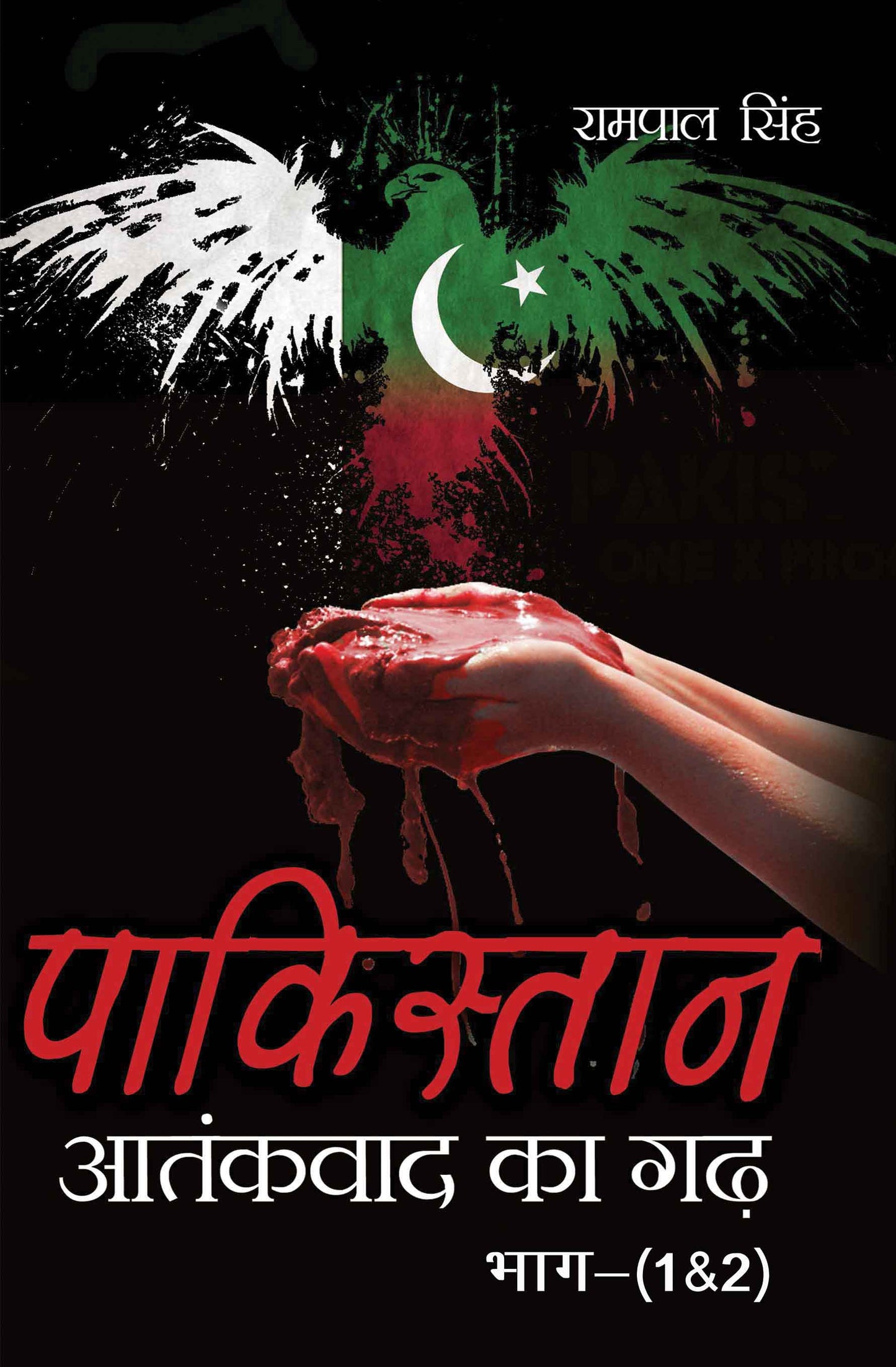 Pakistan : Aatankvad Ka Garh